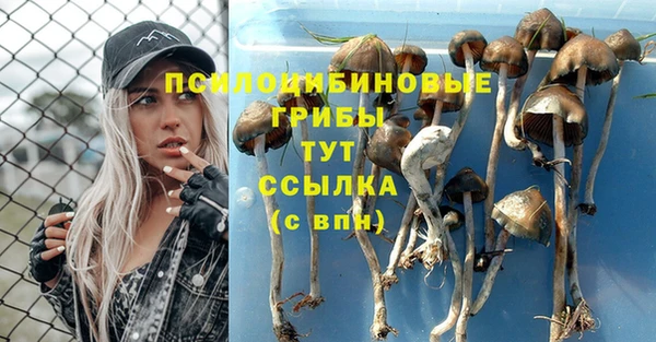 марки lsd Покров