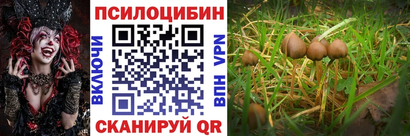 Купить закладки  Спасск  Псилоцибиновые грибы мухоморы 