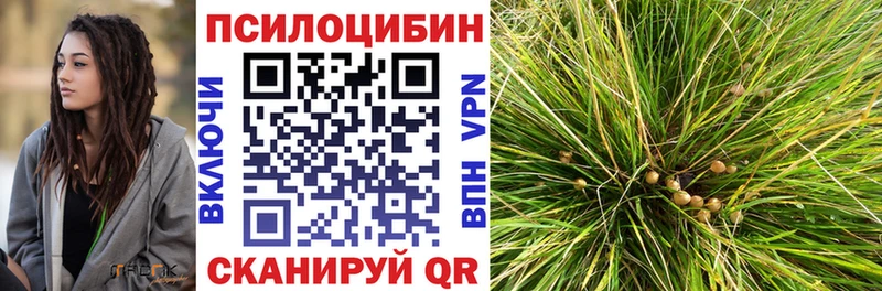 Псилоцибиновые грибы прущие грибы Спасск