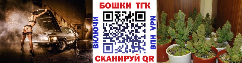 Купить закладки  Спасск  Бошки марихуана OG Kush 